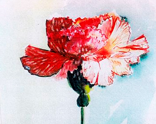 pintura-cravo-aquarela-imersao-em-linguas-artes-ingles-millennium-500-400